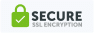 secuity-icon